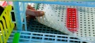 Cimuka oppdrett CB25-3x2 thumbnail