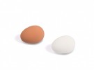 Kunstige egg, høns  thumbnail