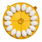 Brinsea Maxi 48 EX thumbnail