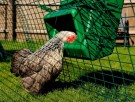 Med feste til netting. thumbnail