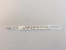Brinsea glasstermometer C/F thumbnail