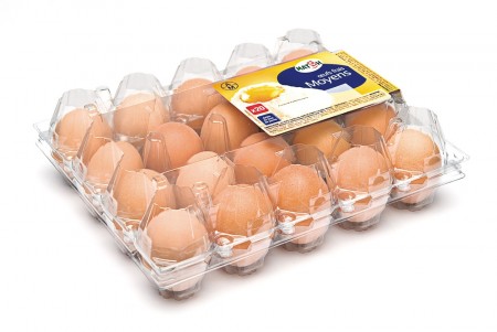 Eggbokser 1x20 i plast - 50 stk