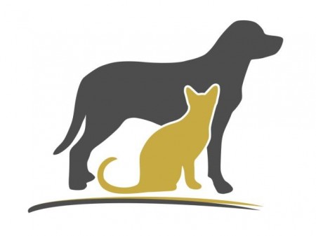 Hund og katt