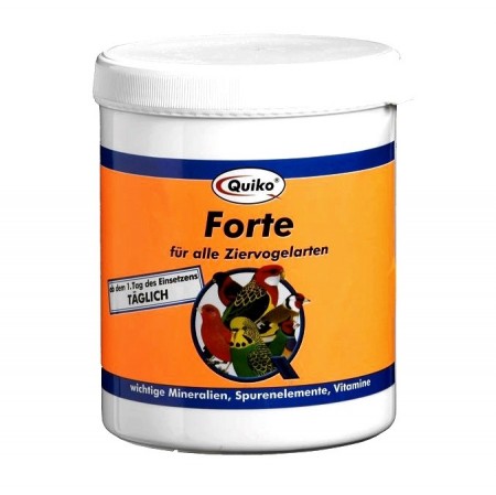 Quiko Forte