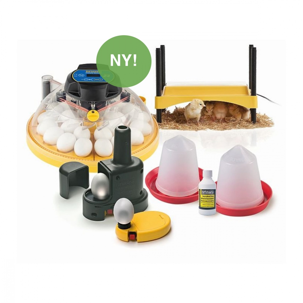 Den nye Brinsea Maxi II Advance startpakke inneholder det ideelle utstyret som er nødvendig for å komme i gang i småskala ruging av egg og oppdrett. 