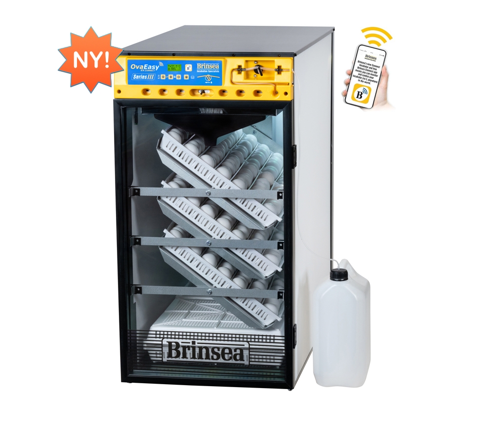 Brinsea OvaEasy 380 EX Connect Series III er en fleksibel rugemaskin med høy ytelse som kombinerer brukervennlighet med helautomatisk fuktighetskontroll. Connect-modellen integreres med Brinsea,s Connect iOS/Android-app, noe som gir ekstra funksjonalitet.