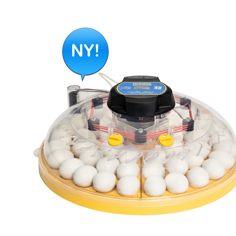 Brinseas Maxi 48 EX har plass til 68 vaktelegg, 48 høneegg, 24 andeegg eller 18 gåseegg i innovative eggkvadranter. Den gir bekvemmeligheten av automatisk snuing med tryggheten av digitale alarmer og gir full digital kontroll over temperatur og fuktighet.
