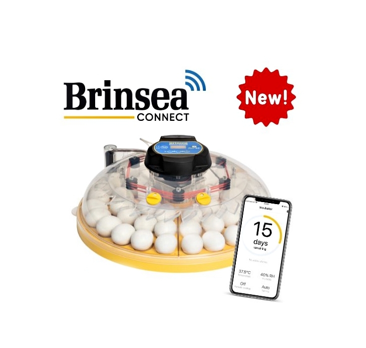 Kontroller og overvåk eggene dine fra telefonen. Brinsea Maxi 48 EX Connect kan styres og overvåkes fra en Apple- eller Android-telefon ved hjelp av Brinsea Connect-appen, slik at du kan motta varsler om alarmer på telefonen for raskere inngripen.