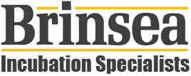 brinsea